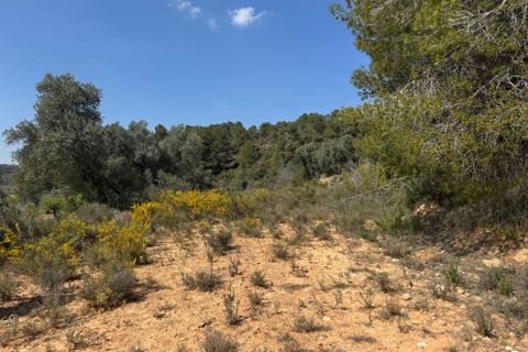 Helårsgrund i Cretas, Teruel, Cretas - € 60.000 | Ref: Iaco - foto 5